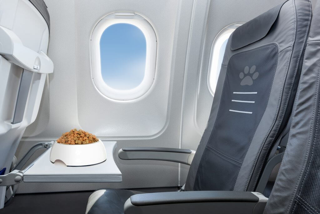 Pet Welcome On Board
